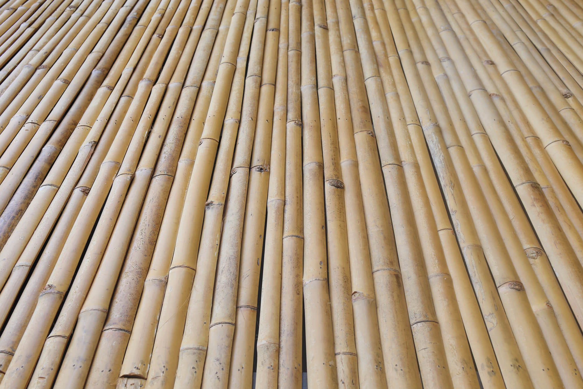 untreated bamboo flooring