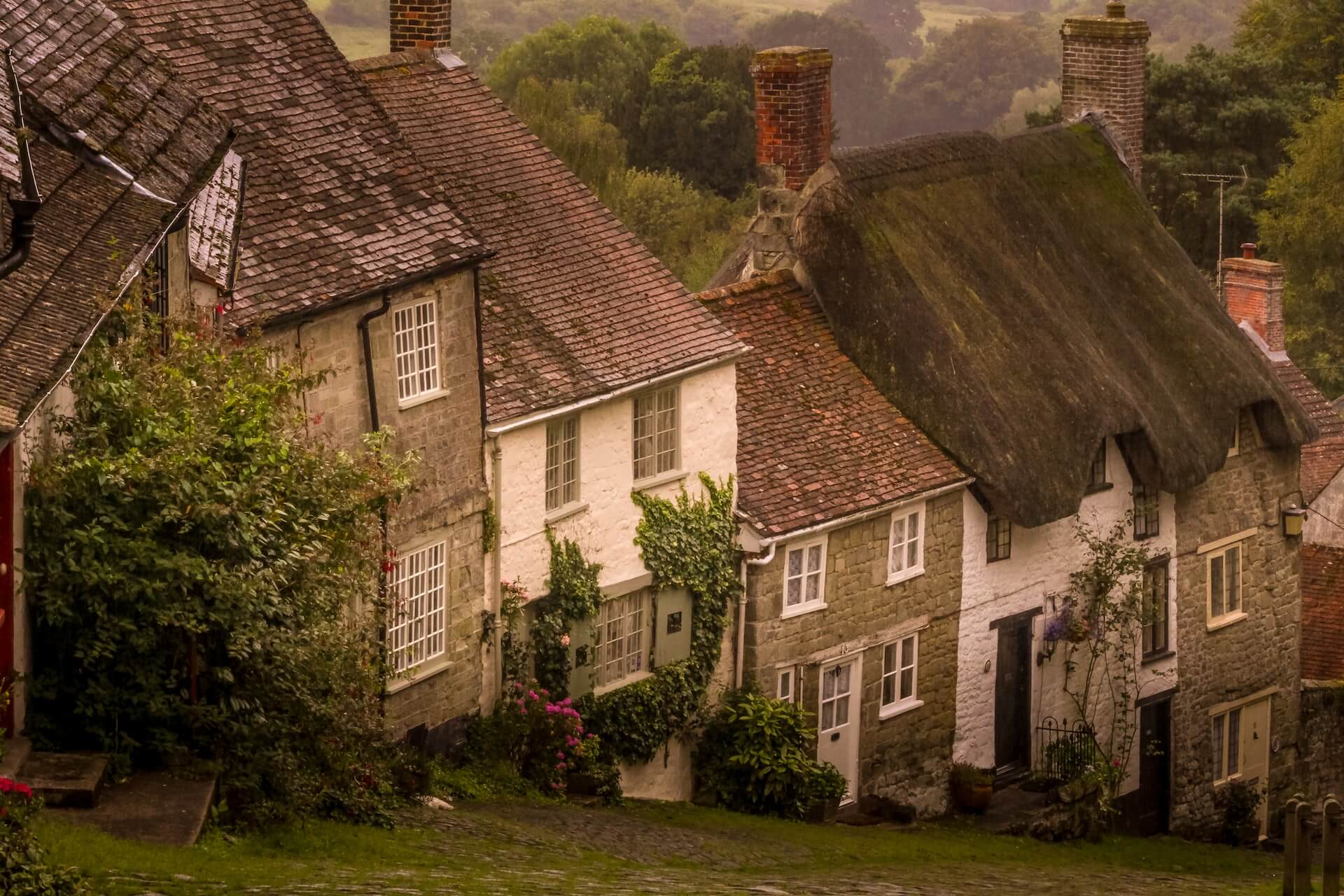 old English houses on a slope with visible roof verges